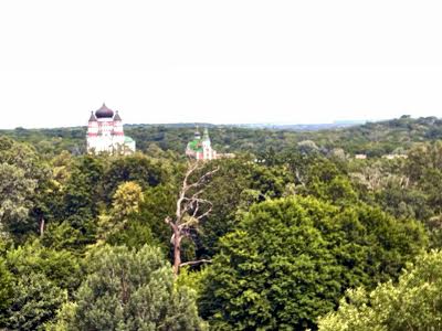 квартира по адресу Метрологическая ул., 107