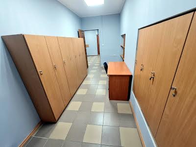 комерційна за адресою Панаса Мирного вул., 9б