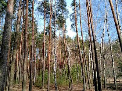 дом по адресу Березова, 25