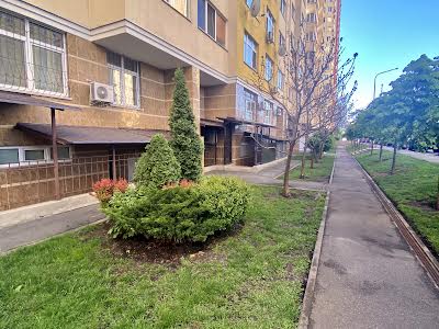 комерційна за адресою Сім'ї Кульженків вул. (Петра Дегтяренка), 35