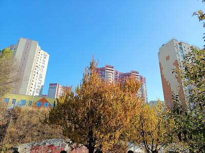 будинок за адресою Київ, 49-та Садова вул.