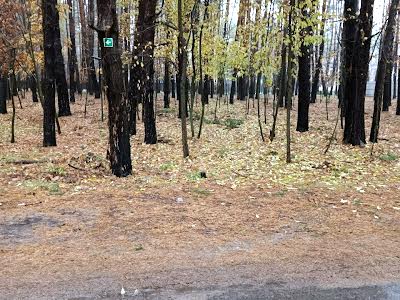 участок по адресу Лесной пер.