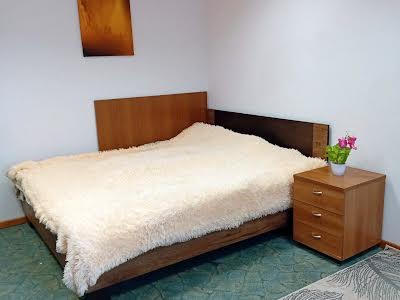дом по адресу Камянская ул. (Днепродзержинская), 81