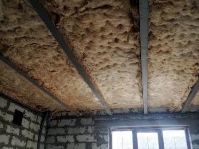 будинок за адресою Центральна вул.