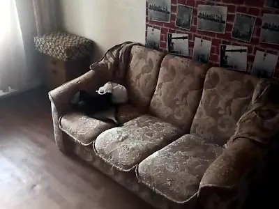 квартира по адресу Лесковская ул., 5-А