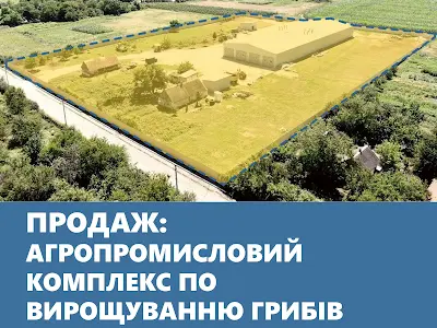комерційна за адресою Шевченка, 8