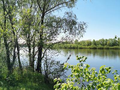 участок по адресу Окружна, 48