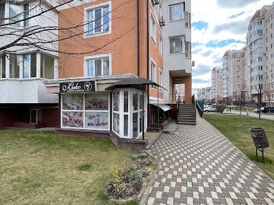 комерційна за адресою Бориса Гмирі вул., 10
