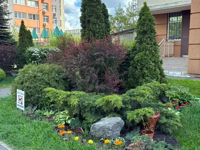 квартира по адресу проспект Любомира Гузара, 46в
