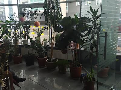 квартира по адресу Зверинецкая ул., 59