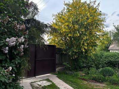 дом по адресу с. Великая Снетинка, Центральний пров., 8