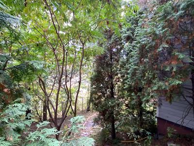 комерційна за адресою Редутна вул., 58