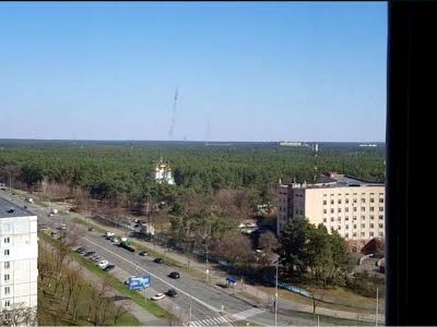 квартира за адресою Лісовий просп., 29
