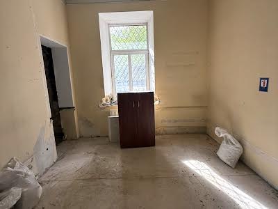 комерційна за адресою Панаса Мирного вул., 1