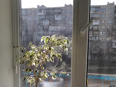 квартира по адресу Милютенко ул., 11-А