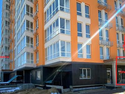 комерційна за адресою Олеся Бердника вул., 1
