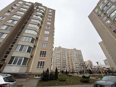 комерційна за адресою с. Святопетрівське, Лесі Українки бульв., 14б