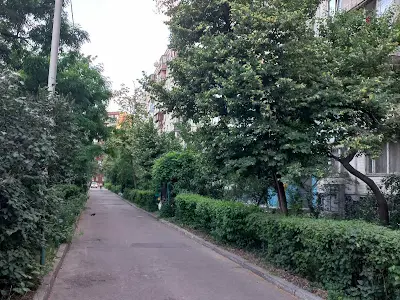 квартира за адресою Анатолія Солов'яненка вул. (Олександра Бойченка), 8