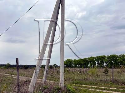 ділянка за адресою с. Залісся, Центральна вулиця