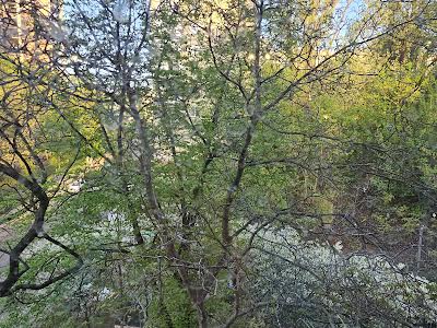 квартира по адресу Кловский спуск, 18