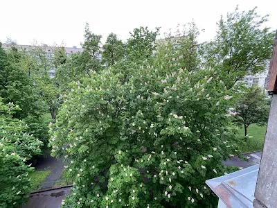 квартира за адресою Олександра Махова вул. (Жолудєва), 5