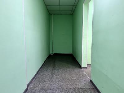 комерційна за адресою Сержа Лифаря вул. (Олександра Сабурова), 1
