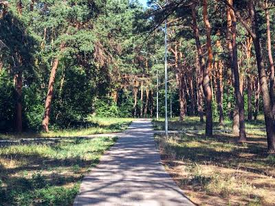 квартира по адресу Армянская ул., 6