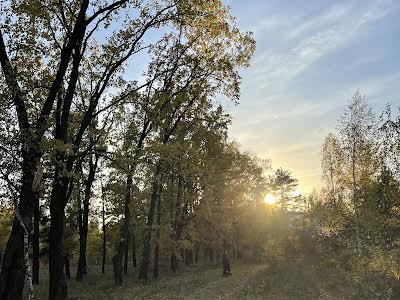 дом по адресу Терещенківська