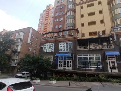 комерційна за адресою В'ячеслава Чорновола вул., 25