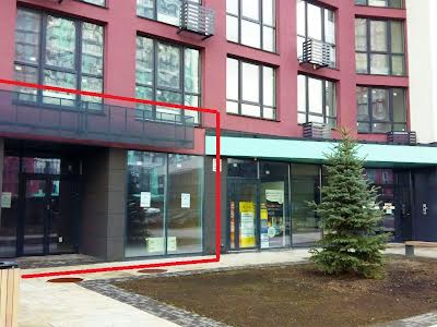 комерційна за адресою Віктора Некрасова вул. (Північно-Сирецька), 8