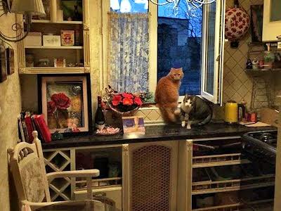 квартира по адресу Приречная ул., 5