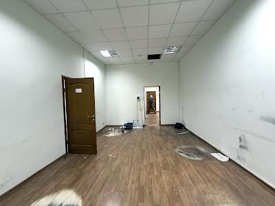 коммерческая по адресу Евгения Чикаленко ул. (Пушкінська), 25
