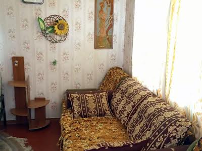 будинок за адресою с. Халеп'я, СТ Струмок