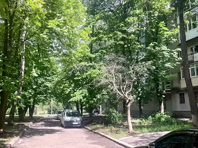квартира по адресу Вадима Манько ул., 13