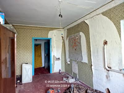 будинок за адресою с. Городище-Пустоварівське, Березова, 17