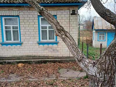 дом по адресу Благовісна