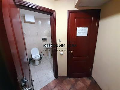 комерційна за адресою Гетьмана Кирила Розумовського вул. (Миколи Краснова), 17