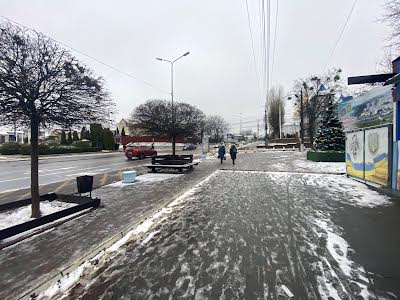 ділянка за адресою с. Петропавлівська борщагівка, Соборна вул. ()