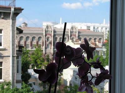 квартира за адресою Банкова вул., 3