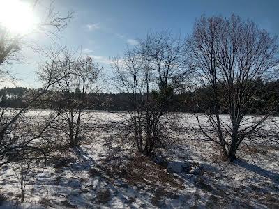 ділянка за адресою с. Вороньків, 