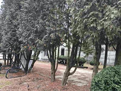 комерційна за адресою с. Петропавлівська борщагівка, Матросова, 2