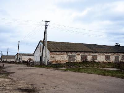 коммерческая по адресу с. Фастовец, Шевченка, 1