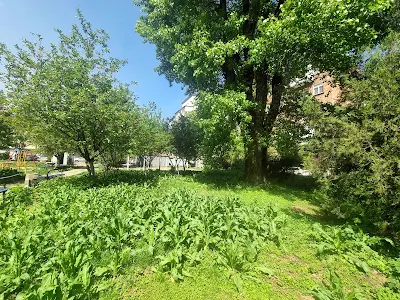 квартира за адресою Загорівська вул. (Багговутівська), 4