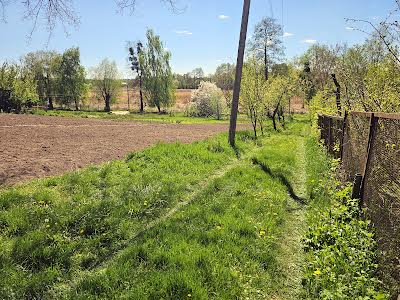 будинок за адресою с. Бишів, Лупська, 1
