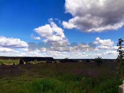 ділянка за адресою смт. Ворзель, 