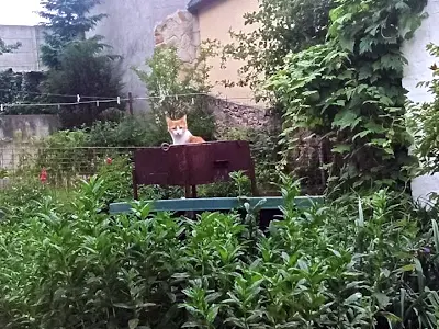 будинок за адресою Листопадна вул., 1а