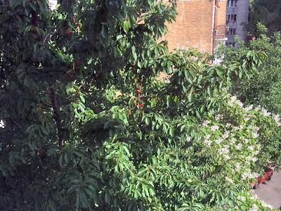 квартира по адресу Киев, Александра Конисского ул., 37