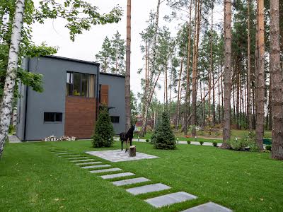 будинок за адресою с. Лебедівка, Петра Сагайдачного 50