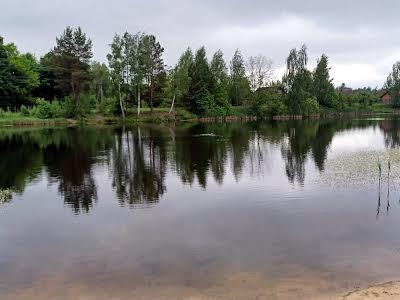 ділянка за адресою с. Хмільна, Київська