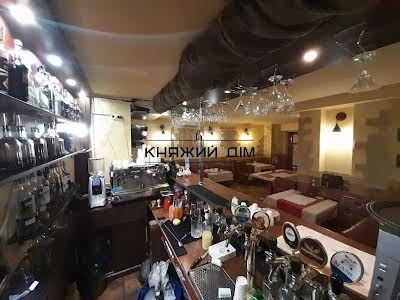 комерційна за адресою Гетьмана Кирила Розумовського вул. (Миколи Краснова), 17